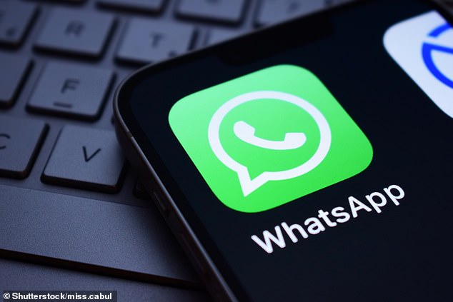 WhatsApp, also owned by Meta, wanted 66 permissions in total, six of which are considered risky)