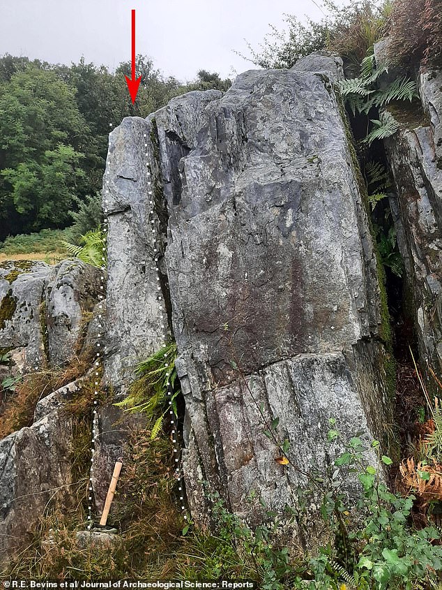 Columns of foliated rhyolite at Craig Rhos-y-Felin in north Pembrokeshire. The rounded tops of the columns are broadly 'bullet shaped', identical in form to the Newall boulder