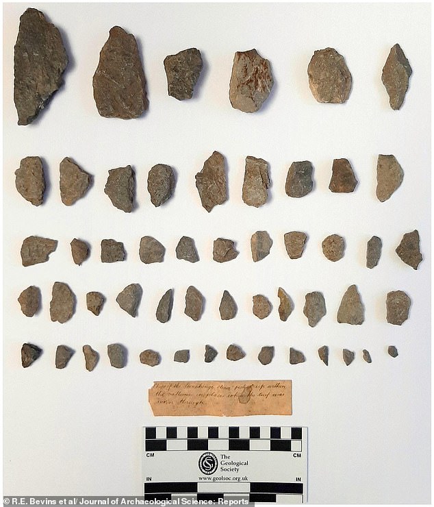A typical collection of bluestone fragments collected from Stonehenge. The researchers said these are chipped fragments, not glacial erratics