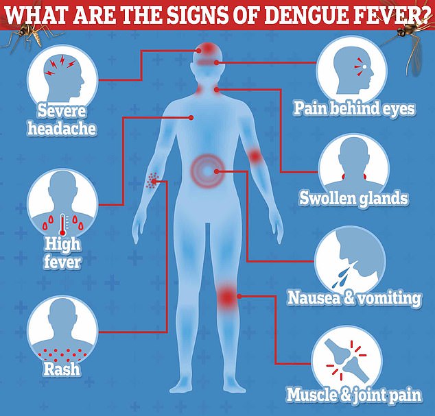 Meanwhile, Dengue fever can cause a range of effects, including mild flu-like symptoms such as headache, fever and joint pain