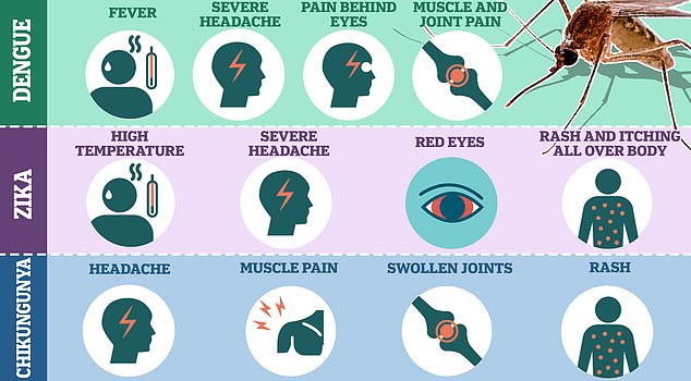 Though not fatal, Chikungunya can cause a range of effects, which are primarily marked by a sudden onset of fever and severe joint pain