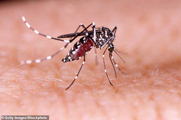 Both of the mosquito-borne viruses are typically found in tropical regions like South America and India