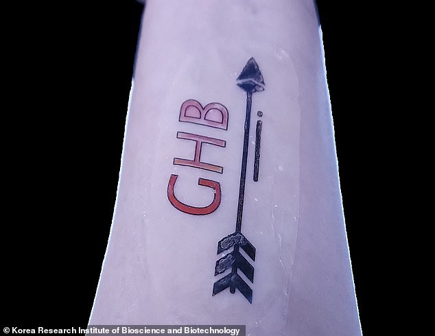 If the tattoo detects even low concentrations of y–hydroxybutyrate (GHB), it will change from yellow to red
