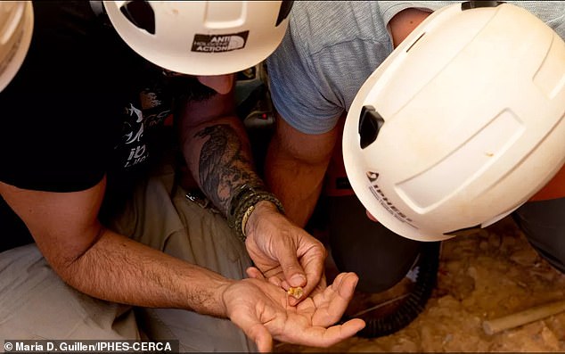 The team studying an 850,000-year-old tooth at the site, where excavations have been taking place for several decades