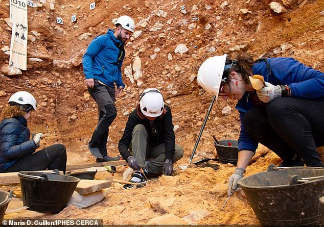 Excavation work at level TD6 of Gran Dolina, where the bones were unearthed. They belong to Homo antecessor, thought to be the last common ancestor of both Homo sapiens and Neanderthals