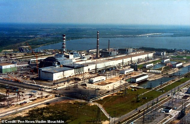 When Chernobyl (pictured) suffered a catastrophic meltdown in 1986, it sparked the largest release of radioactive material into the environment in human history