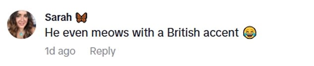 These TikTok captions show users are convinced the cat sounds British, and specifically Scouse