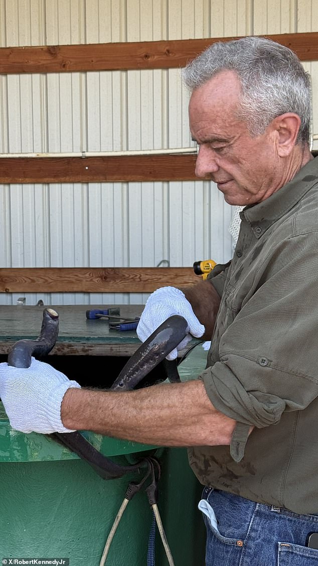 RFK Jr held multiple 2-foot-long lampreys during his Thursday visit to Idaho, where he promoted the health and well-being of tribal communities