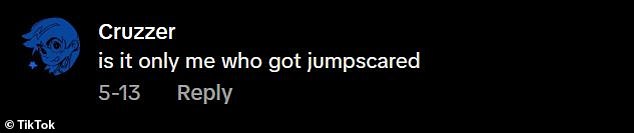 One frightened commenter complained that they had been 'jumpscared' when the face suddenly popped into view