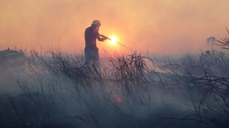 A firefighter tries to extinguish the blazes during a wildfire, in the northwestern suburb of Kryoneri, in Athens, Greece, Saturday, July 26, 2025. (AP Photo/Yorgos Karahalis)