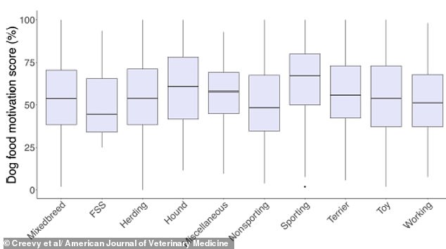 Here, sporting dogs can be seen to have the highest food motivation score compared to other breeds