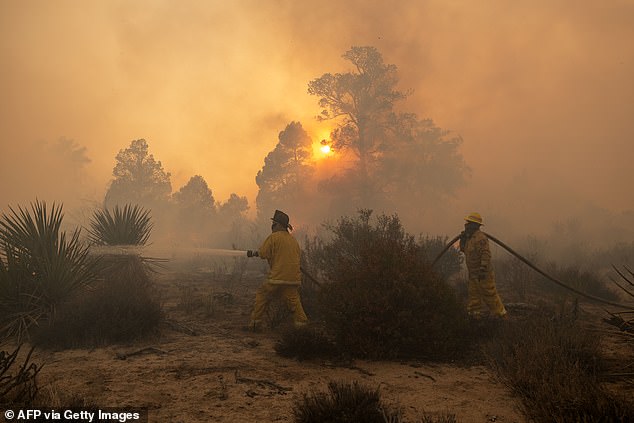 By mid-July 2025, over 4,000 fires had already burned nearly 200,000 acres in California.