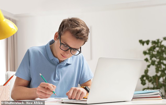 Frustrated family members and teachers have complained that youngsters are even using the AI chatbot to answer simple questions like ‘how many hours are there in one day’ (stock image)