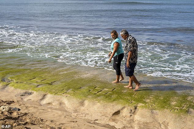 Laura Gilda (left) and Glen Kila (right) examine the petroglyphs, which were fully uncovered for the first time since 2016