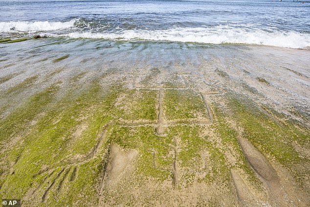The largest petroglyph is believed to represent Maui, a Hawaiian demigod, during a religious ceremony