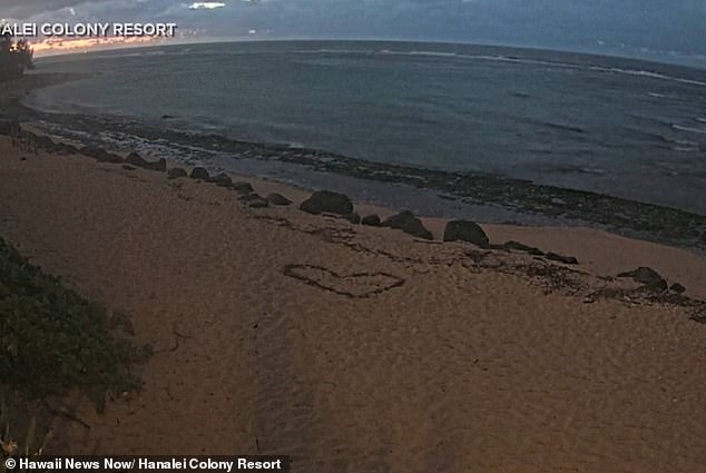 Hawaii was under a tsunami warning following the earthquake that hit Russia. Locals fled the coast in fear of five-foot waves