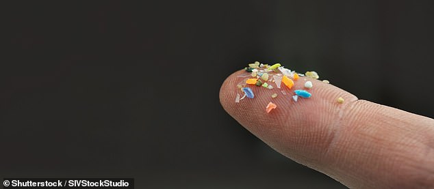 Currently, research investigating how microplastics affect human health is in its infancy, but there is a growing body of evidence suggesting they could be harmful (stock image)