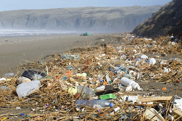 More than 100 nations signed an agreement on Wednesday to eliminate plastic pollution from the oceans at a global summit in Kenya 