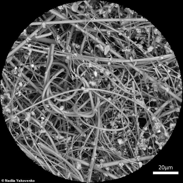Their analysis revealed that adults inhale about 68,000 microplastics measuring 10 micrometers across or less every day – 100 times more than previous estimates suggested