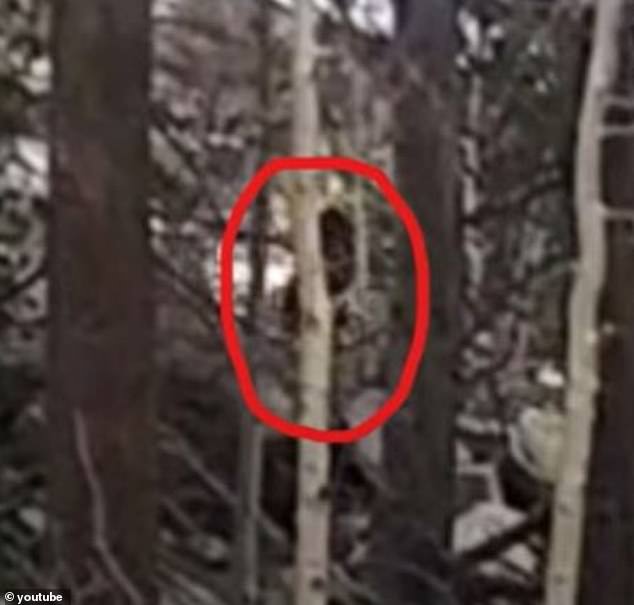 Some viewers were skeptical, saying the figure was too far away to be identified clearly and was likely a person hiding among the trees