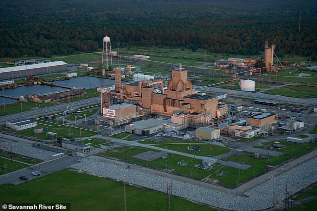 The radioactive nest was found at the Savannah River Site (SRS) near Aiken. Workers discovered it emitted levels 10 times higher than what is deemed safe