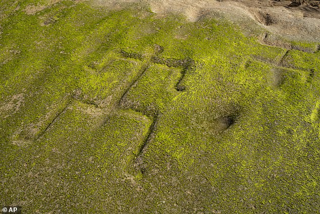 The carvings are believed to date back to between 600 and 1,000 years ago