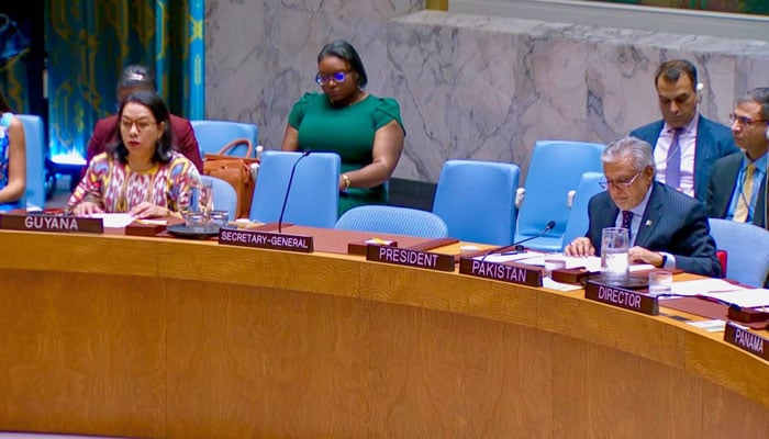 Deputy Prime Minister/Foreign Minister, Senator Mohammad Ishaq Dar delivers Pakistans statement at the Security-Council on July 24, 2025. — X@ForeignOfficePk
