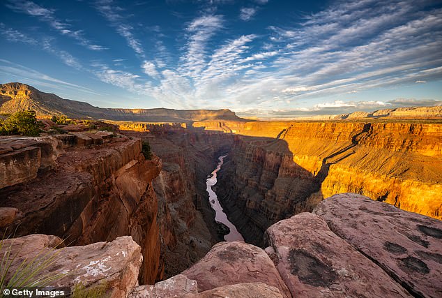 Researchers have uncovered fossils buried deep in 500 million old rocks in canyon walls