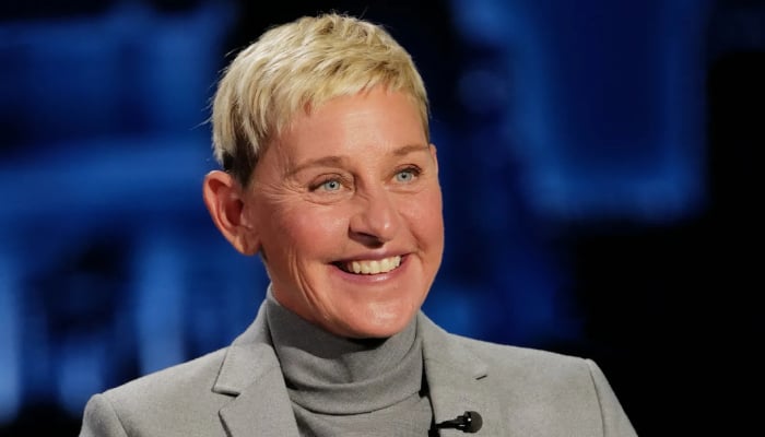 Ellen DeGeneres on returning to television