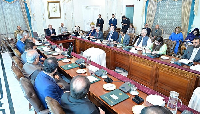 PM Shehbaz Sharif chairs federal cabinet meeting in Islamabad on July 30, 2025. — PID