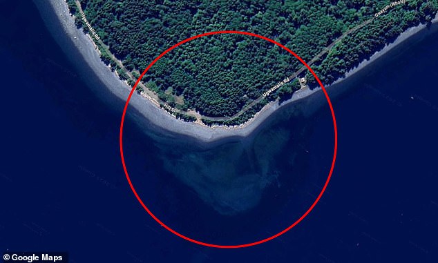 Social media users have been baffled after spotting what seems to be a skull lurking in the waters of a Canadian island