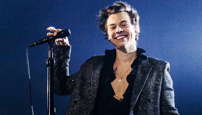 Harry Styles’s new flame makes first appearance after PDA-packed outing