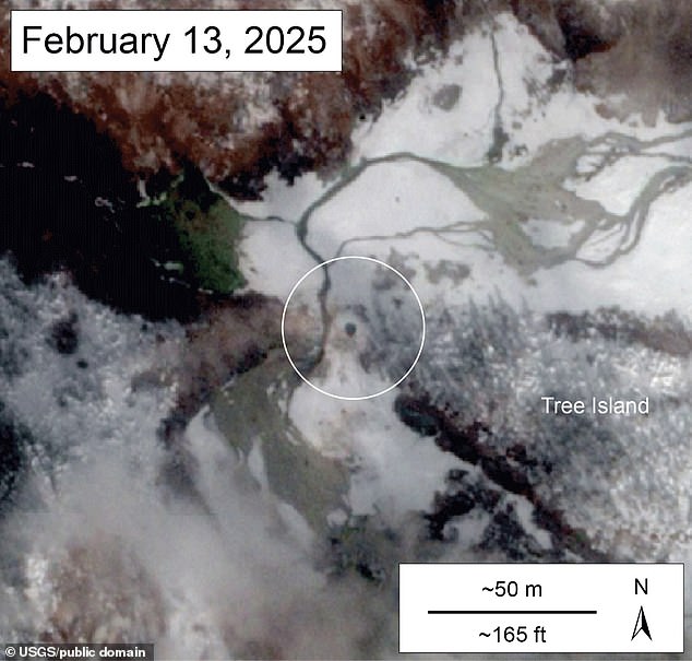 This satellite imagery dated February 15 shows the new fully-formed thermal pool at Norris Geyser Basin, Yellowstone National Park. There is no indication of the pool in images from October 19 and December 19, 2024, but a small depression is visible in a January 6 image