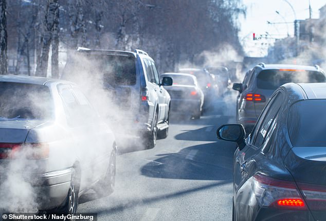 The researchers who analysed a large number of studies found a link between air pollution and dementia which blights families across the UK