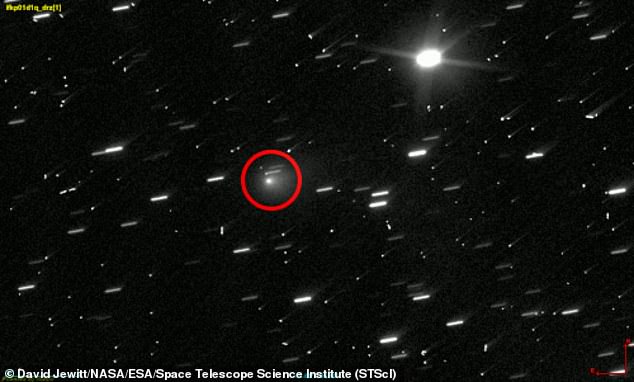The interstellar object (circled) is believed to be a comet, but Harvard astrophysicist Avi Loeb contends it could be an alien craft