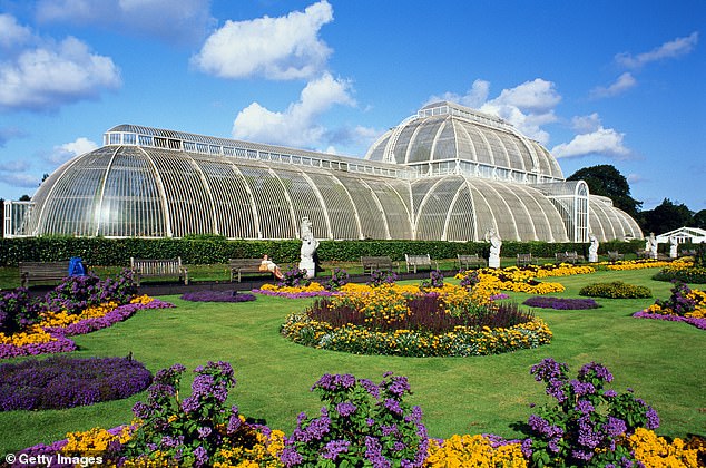 Palm House at Kew Gardens is the world's oldest surviving Victorian glasshouse, but it is 'showing serious signs of deterioration'