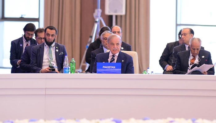 PM Shehbaz Sharif addresses 17th ECO Summit in Khankendi, Azerbaijan on July 4, 2025. — PID
