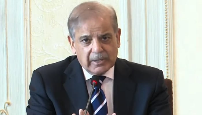 Prime Minister Shehbaz Sharif addressing a meeting of the federal cabinet in Islamabad, on July 30, 2025. — Geo News Live