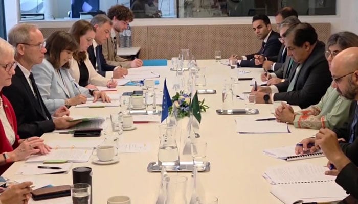 Foreign Secretary, Ambassador Amna Baloch led ???????? delegation at the 10th Pakistan–EU Political Dialogue held today in Brussels on July 17, 2025. — X@ForeignOfficePk