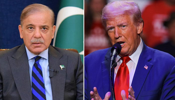 Prime Minister Shehbaz Sharif (left) and US President Donld Trump. — Reuters