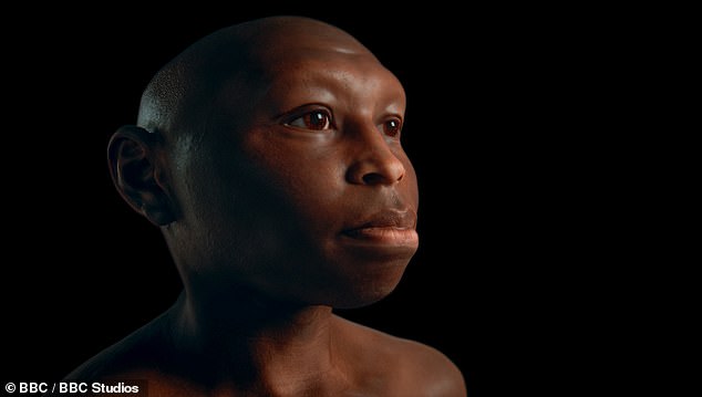 Scientists have created the most scientifically accurate reconstructions of ancient human species, including the tiny species nicknamed 'The Hobbit' (pictured)