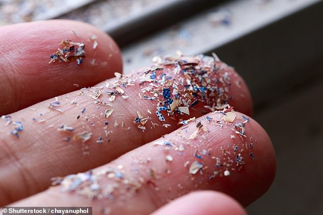 While microplastics are much smaller than this, measuring under 5mm in size, this image shows how plastic particles can break down in the environment (stock image)