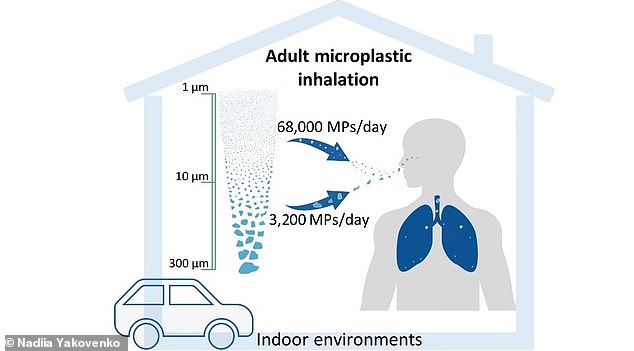 From the depths of The Mariana Trench to the summit of Everest, microplastics can be found almost everywhere on Earth. Now, a study has revealed just how many toxic particles are lurking in our homes and cars