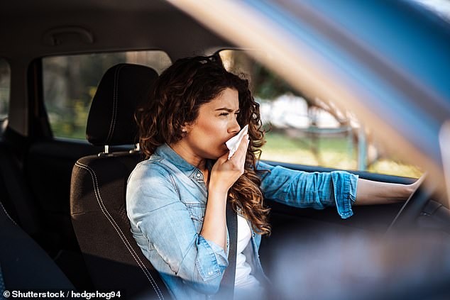 The average concentration of microplastics in home is 528 particles per cubic metre, while in cars it is 2,238 particles per cubic metre (stock image)