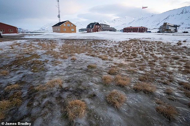 Scientists from London who travelled to Svalbard in February and March report a 'dramatic and concerning shift in the Arctic winter'. There they encountered exceptionally high temperatures, widespread snowmelt, and blooming vegetation