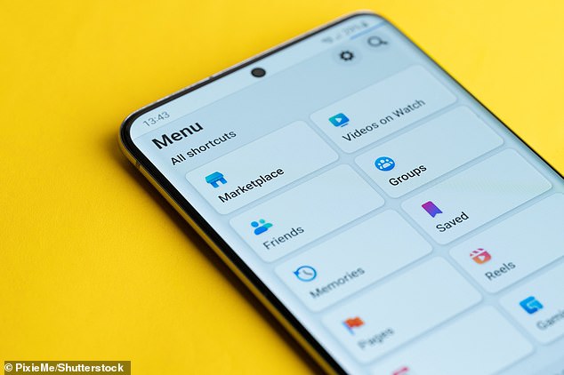 Among social media apps, Facebook, owned by Meta, was arguably the most keen for user data - it wanted the highest number of permissions (69 in total, of which 6 are considered 'risky'