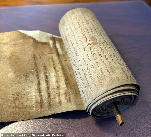 An international project collecting hundreds of medieval manuscripts has revealed the strangest Dark Ages cures you could try for yourself today, if you are brave enough