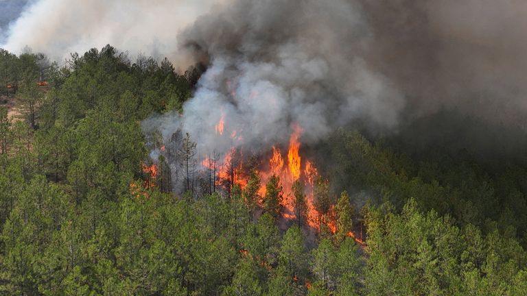 A drone view shows smoke rising from a wildfire in Harmancik in the northwestern Bursa province.
Pic Reuters