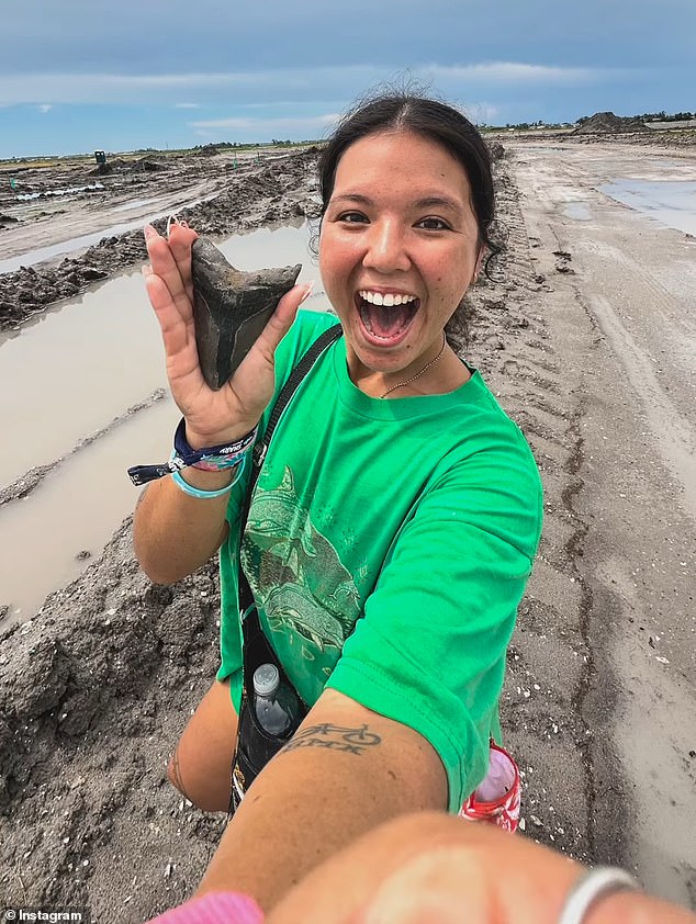 A Florida woman unearthed a massive prehistoric tooth buried in the sand
