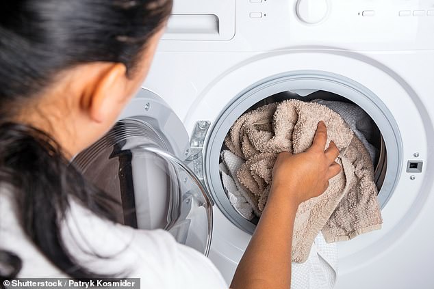 Bath and hand towels quickly accumulate microscopic life such as bacteria and fungi when they are repeatedly used to dry human skin (file photo)